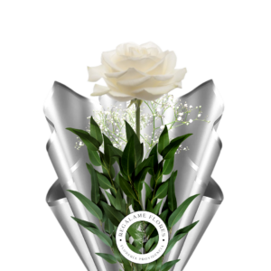 Rosa Blanca Ecuatoriana De Lujo